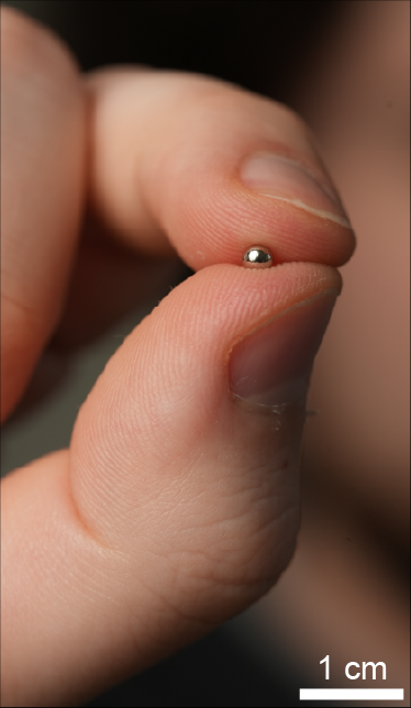 A 3 mm magnetic bead held between two fingertips